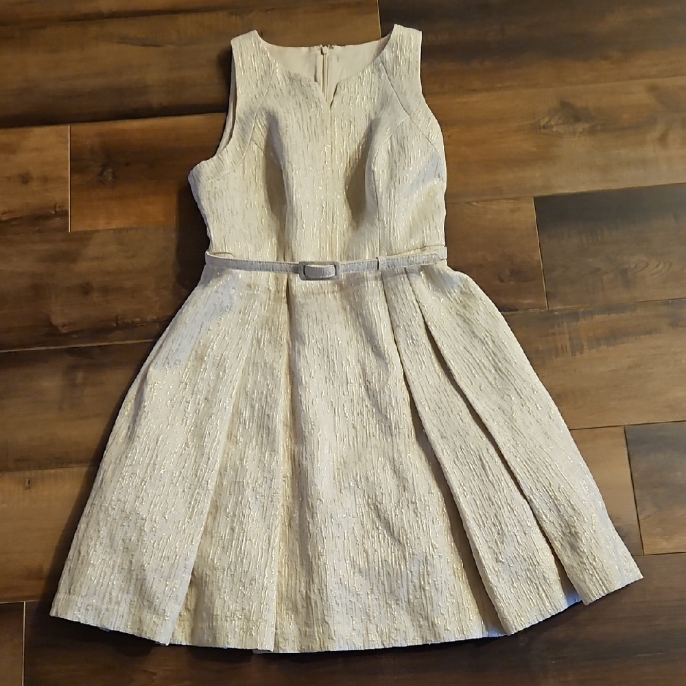 White House Black Market Cream And Gold Pleated A-Line Dress